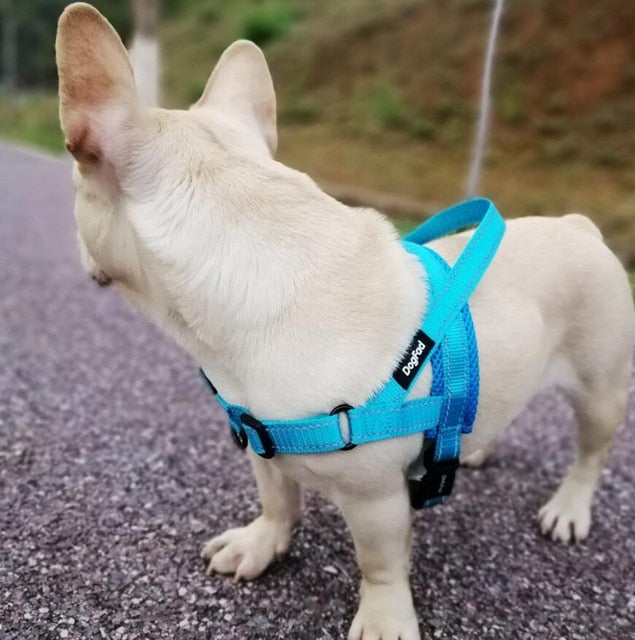Adjustable Training Vest For Pet Dogs