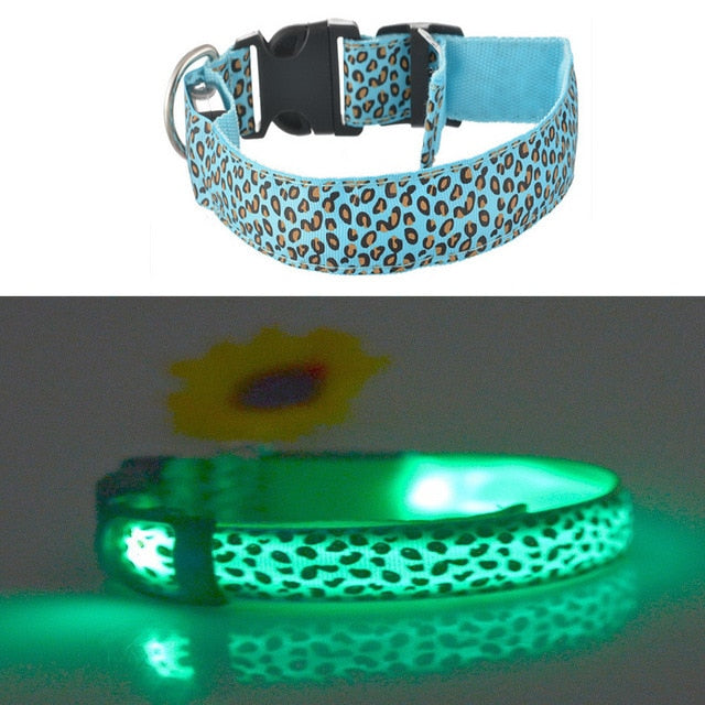Dog Pet Collar Flashing USB Rechargeable LED Safety Light Up LED Pet Collar Nylon Pet Strap Neck Belt For Small Large Dog