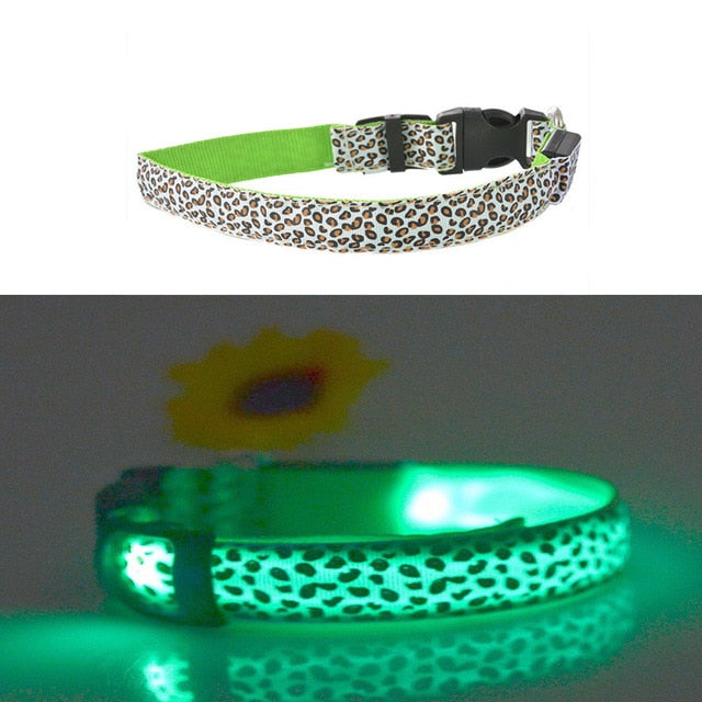 Dog Pet Collar Flashing USB Rechargeable LED Safety Light Up LED Pet Collar Nylon Pet Strap Neck Belt For Small Large Dog