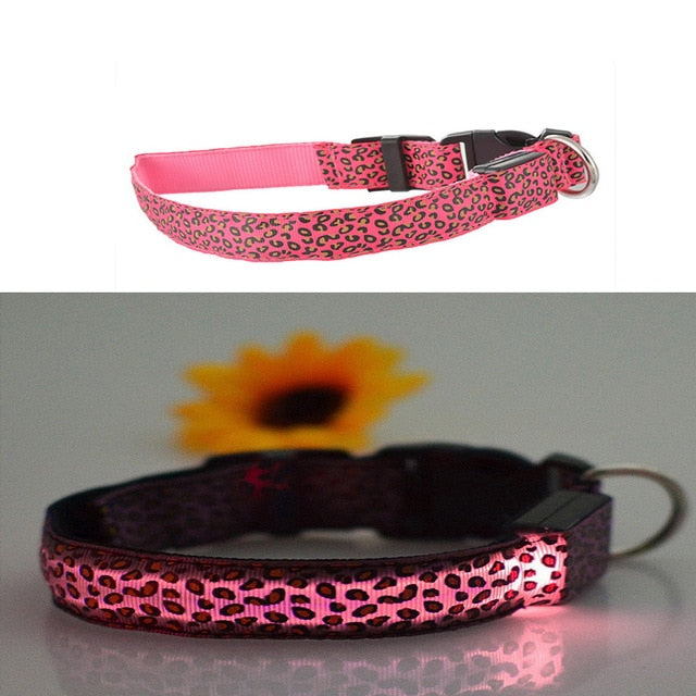 Dog Pet Collar Flashing USB Rechargeable LED Safety Light Up LED Pet Collar Nylon Pet Strap Neck Belt For Small Large Dog
