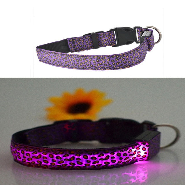 Dog Pet Collar Flashing USB Rechargeable LED Safety Light Up LED Pet Collar Nylon Pet Strap Neck Belt For Small Large Dog