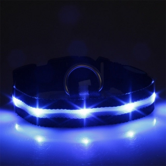 Dog Pet Collar Flashing USB Rechargeable LED Safety Light Up LED Pet Collar Nylon Pet Strap Neck Belt For Small Large Dog