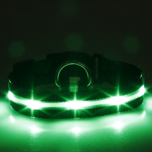 Dog Pet Collar Flashing USB Rechargeable LED Safety Light Up LED Pet Collar Nylon Pet Strap Neck Belt For Small Large Dog