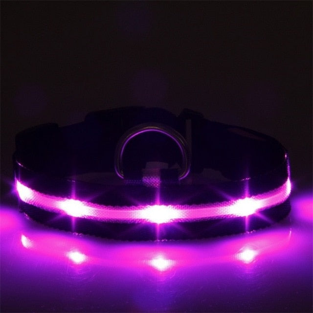 Dog Pet Collar Flashing USB Rechargeable LED Safety Light Up LED Pet Collar Nylon Pet Strap Neck Belt For Small Large Dog