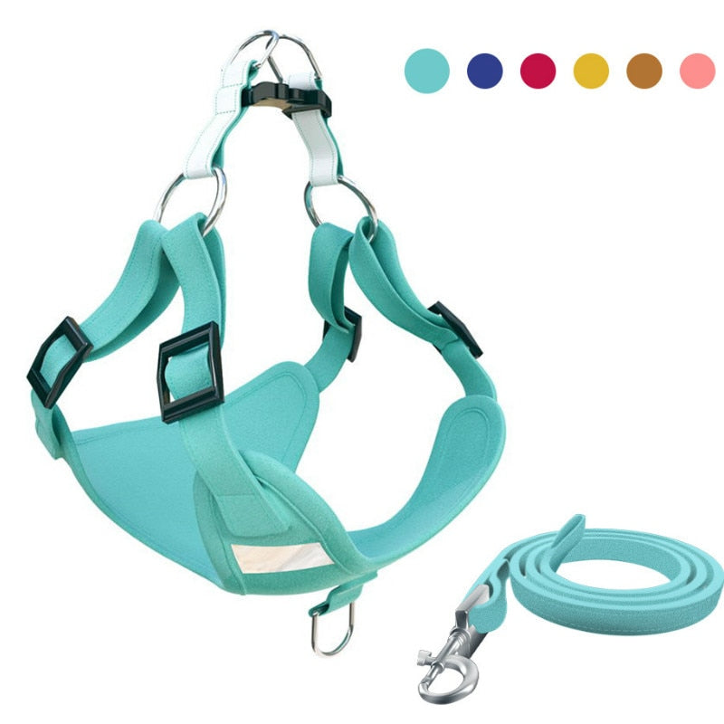 Adjustable Alloy D Buckle Dog Vest Leash