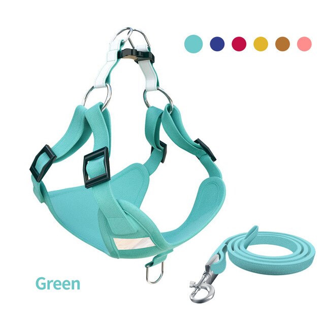 Adjustable Alloy D Buckle Dog Vest Leash