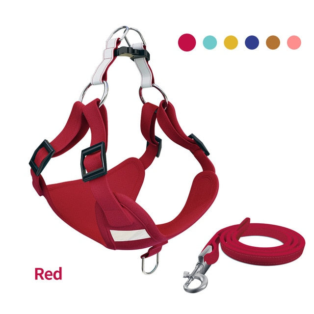Adjustable Alloy D Buckle Dog Vest Leash