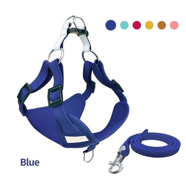 Adjustable Alloy D Buckle Dog Vest Leash