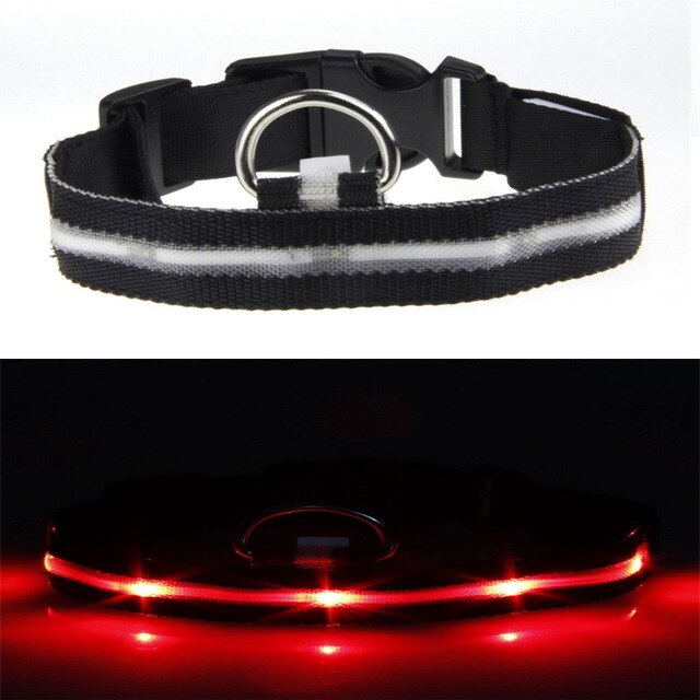 USB Rechargeable Flashing Night Dog Collars