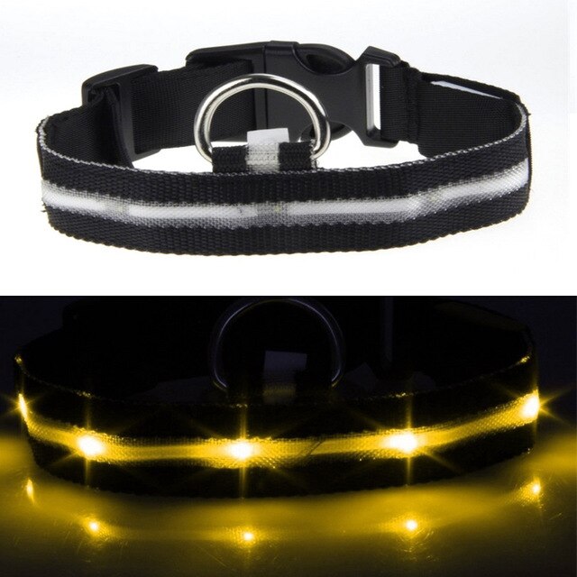 USB Rechargeable Flashing Night Dog Collars