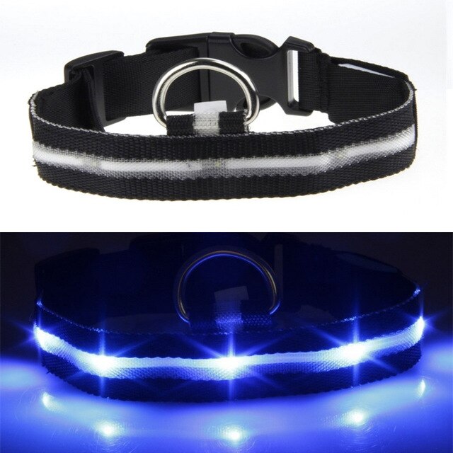 USB Rechargeable Flashing Night Dog Collars
