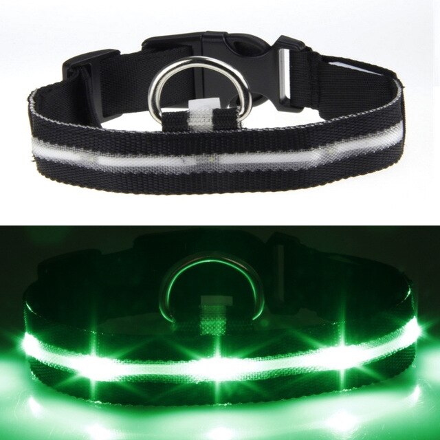 USB Rechargeable Flashing Night Dog Collars