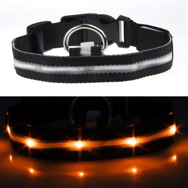 USB Rechargeable Flashing Night Dog Collars