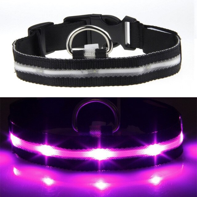USB Rechargeable Flashing Night Dog Collars