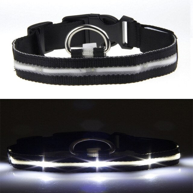 USB Rechargeable Flashing Night Dog Collars