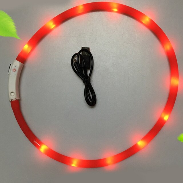 USB Rechargeable Flashing Night Dog Collars