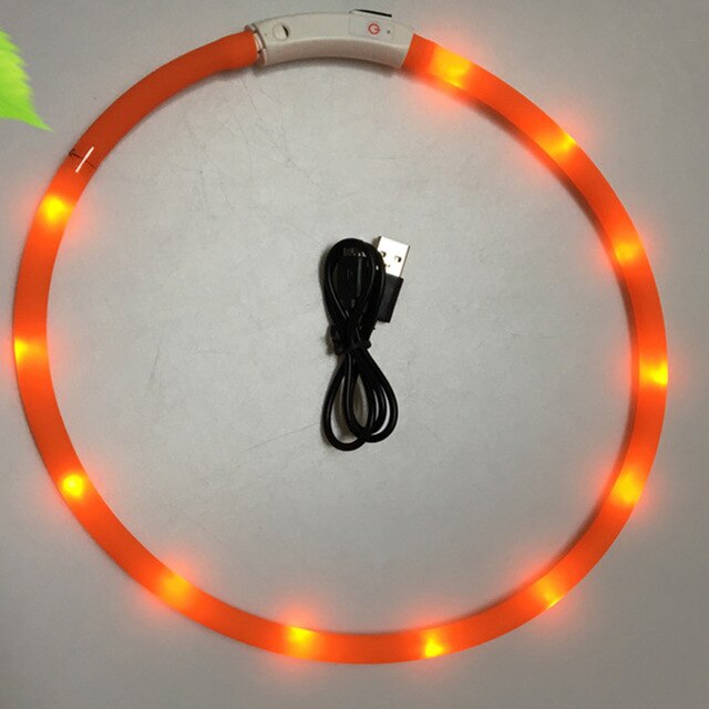 USB Rechargeable Flashing Night Dog Collars