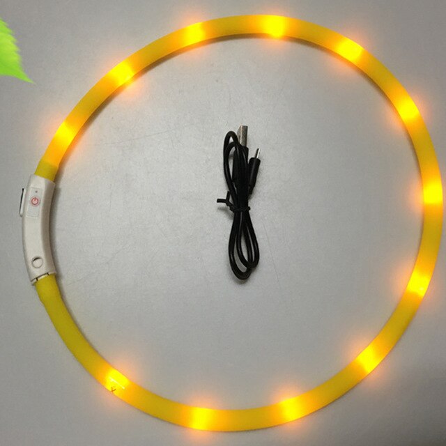 USB Rechargeable Flashing Night Dog Collars