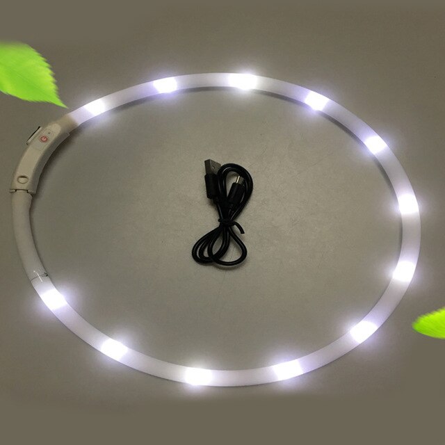 USB Rechargeable Flashing Night Dog Collars
