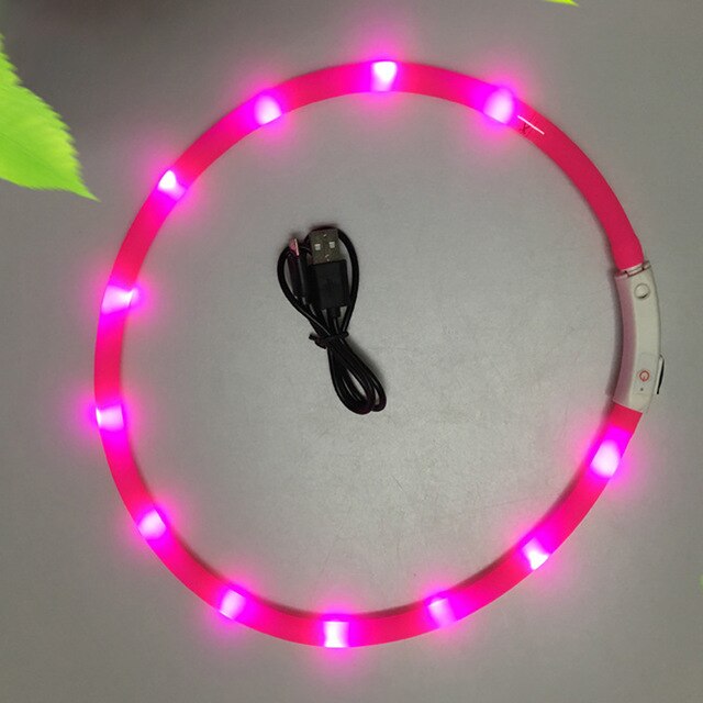 USB Rechargeable Flashing Night Dog Collars