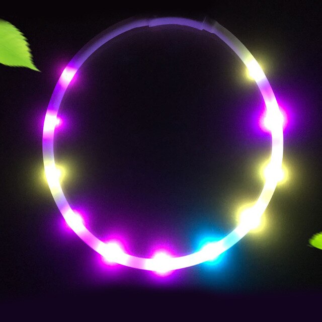 USB Rechargeable Flashing Night Dog Collars